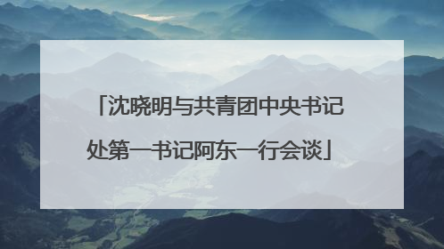 沈晓明与共青团中央书记处第一书记阿东一行会谈