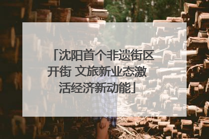 沈阳首个非遗街区开街 文旅新业态激活经济新动能