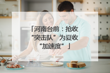 河南台前：抢收“突击队”为夏收“加速度”