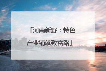 河南新野：特色产业铺就致富路