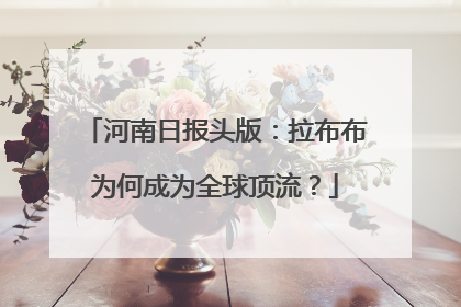 河南日报头版：拉布布为何成为全球顶流？