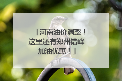 河南油价调整！这里还有郑州错峰加油优惠！