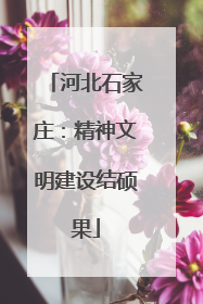 河北石家庄：精神文明建设结硕果