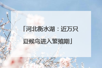 河北衡水湖：近万只夏候鸟进入繁殖期