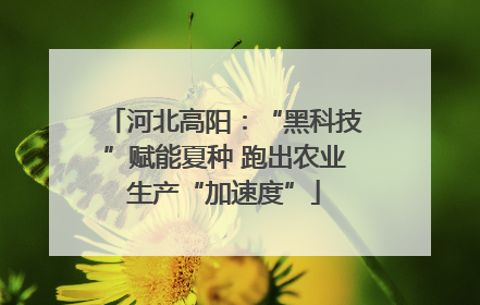 河北高阳：“黑科技”赋能夏种 跑出农业生产“加速度”