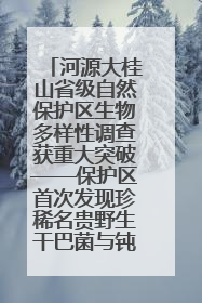 河源大桂山省级自然保护区生物多样性调查获重大突破——保护区首次发现珍稀名贵野生干巴菌与钝尾两头蛇
