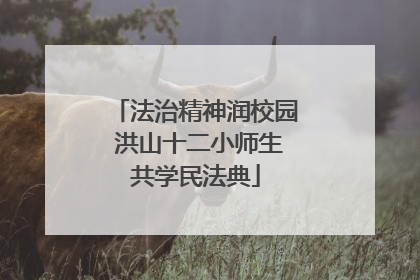 法治精神润校园 洪山十二小师生共学民法典