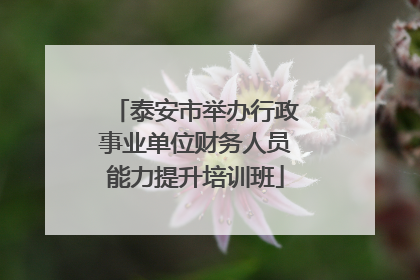 泰安市举办行政事业单位财务人员能力提升培训班