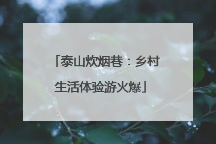 泰山炊烟巷：乡村生活体验游火爆