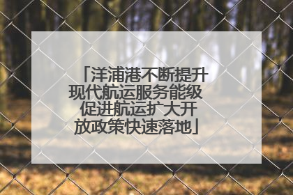 洋浦港不断提升现代航运服务能级 促进航运扩大开放政策快速落地