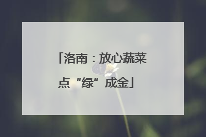 洛南:放心蔬菜点“绿”成金