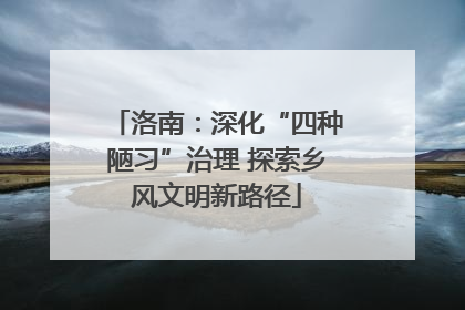 洛南：深化“四种陋习”治理 探索乡风文明新路径