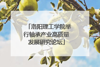 洛阳理工学院举行轴承产业高质量发展研究论坛