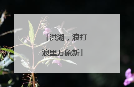 洪湖，浪打浪里万象新