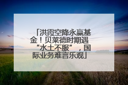 洪霞空降永赢基金！贝莱德时期遇“水土不服”，国际业务难言乐观