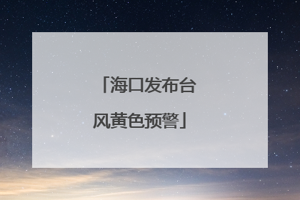 海口发布台风黄色预警