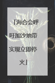 海合会呼吁加沙地带实现立即停火