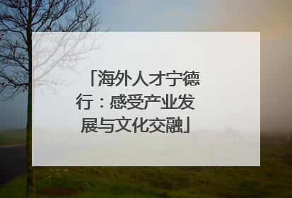 海外人才宁德行：感受产业发展与文化交融