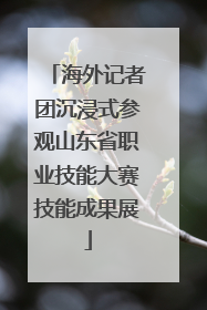 海外记者团沉浸式参观山东省职业技能大赛技能成果展