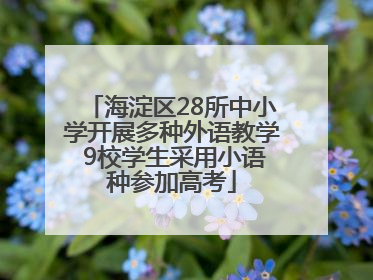 海淀区28所中小学开展多种外语教学 9校学生采用小语种参加高考