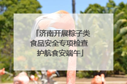 济南开展粽子类食品安全专项检查 护航食安端午