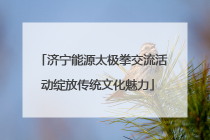 济宁能源太极拳交流活动绽放传统文化魅力