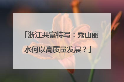 浙江共富特写：秀山丽水何以高质量发展？