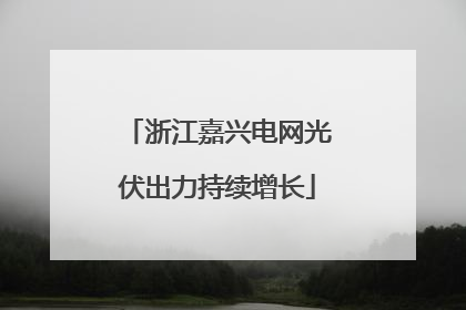浙江嘉兴电网光伏出力持续增长