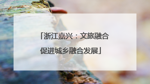 浙江嘉兴：文旅融合促进城乡融合发展