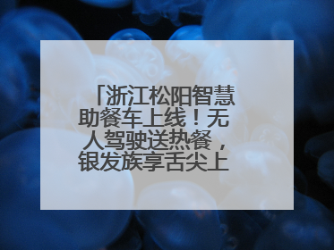 浙江松阳智慧助餐车上线！无人驾驶送热餐，银发族享舌尖上的科技关怀