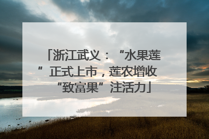 浙江武义：“水果莲”正式上市，莲农增收“致富果”注活力