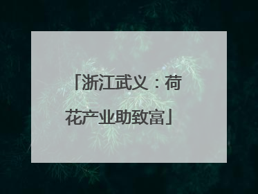 浙江武义：荷花产业助致富