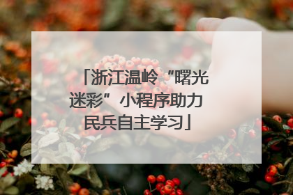 浙江温岭“曙光迷彩”小程序助力民兵自主学习