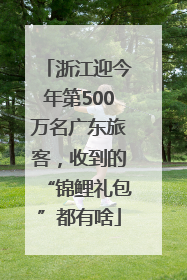 浙江迎今年第500万名广东旅客，收到的“锦鲤礼包”都有啥