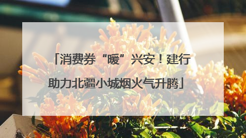 消费券“暖”兴安！建行助力北疆小城烟火气升腾