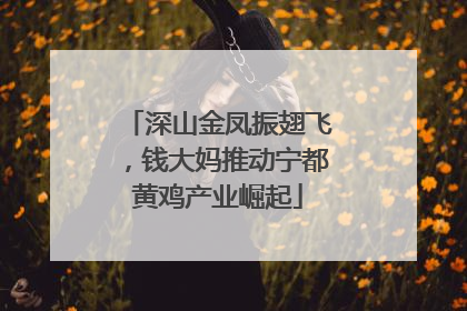 深山金凤振翅飞，钱大妈推动宁都黄鸡产业崛起