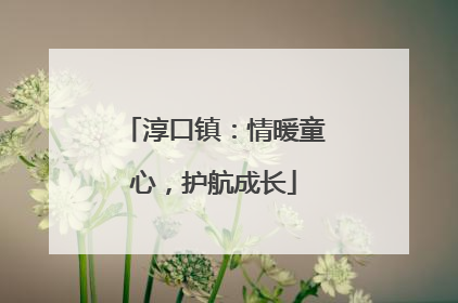 淳口镇：情暖童心，护航成长