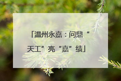 温州永嘉：问鼎“天工”亮“嘉”绩