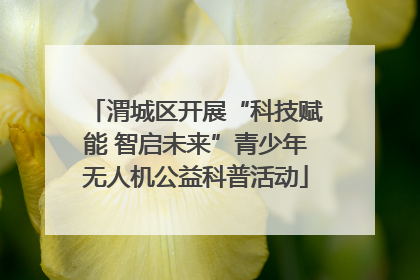 渭城区开展“科技赋能 智启未来”青少年无人机公益科普活动