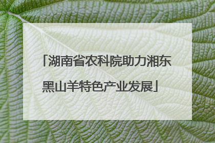 湖南省农科院助力湘东黑山羊特色产业发展
