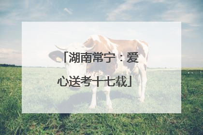 湖南常宁：爱心送考十七载