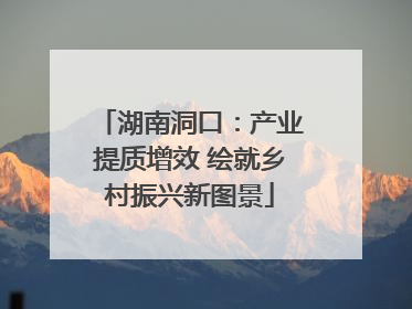 湖南洞口：产业提质增效 绘就乡村振兴新图景