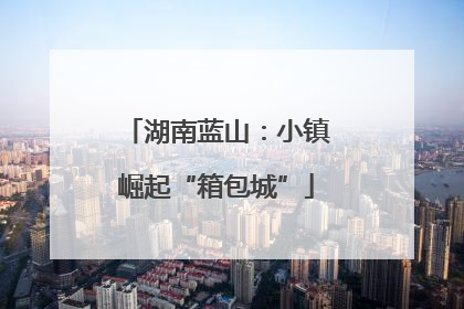 湖南蓝山：小镇崛起“箱包城”