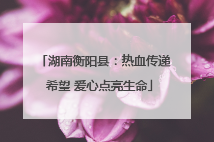 湖南衡阳县：热血传递希望 爱心点亮生命