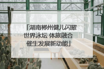 湖南郴州健儿闪耀世界泳坛 体旅融合催生发展新动能