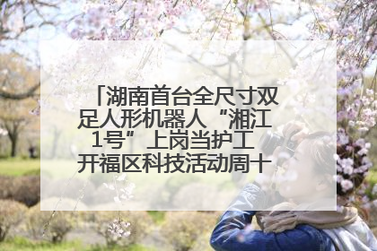 湖南首台全尺寸双足人形机器人“湘江1号”上岗当护工 开福区科技活动周十大科创项目签约