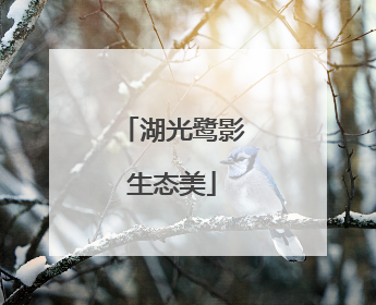 湖光鹭影生态美