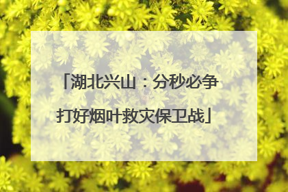 湖北兴山：分秒必争 打好烟叶救灾保卫战
