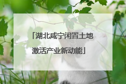 湖北咸宁闲置土地激活产业新动能