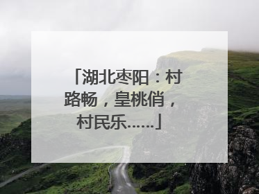 湖北枣阳：村路畅，皇桃俏，村民乐……